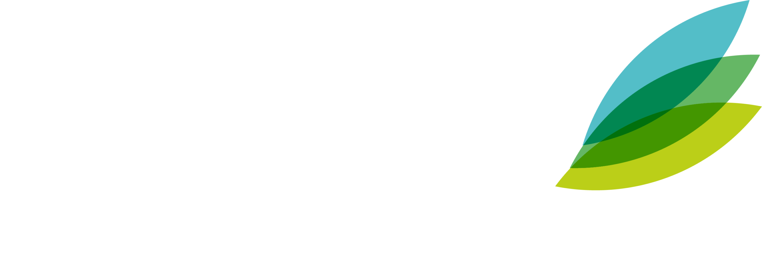 rhizome logo